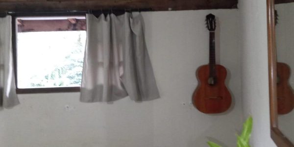 2972449532-foto-13